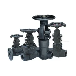 FORGED STEEL VALVES